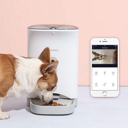 Facilita la alimentación de tu peludo con un dispensador automático de comida para perros
